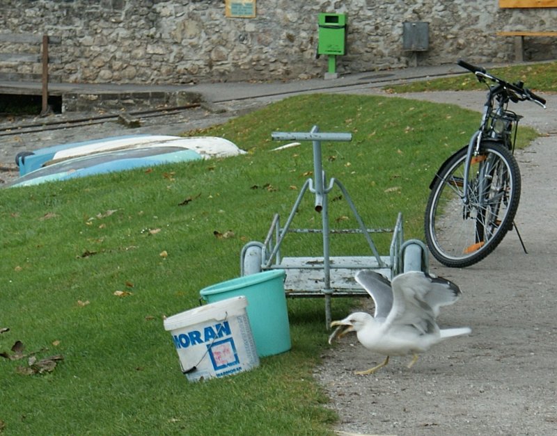 Schmeckt prima.
(Juni 2008) 