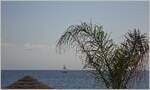 Ein Segelschiff unter Palmen
(22.09.2022)