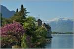 Ein Hauch Fr�hling beim Ch�teau de Chillon.
