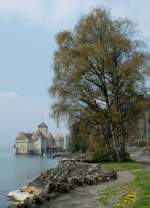 Im Schatten einer Birke fotografiere ich das Ch�teau de Chillon.
