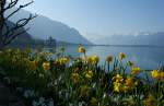 Fr�hling am Genfersee.