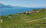 Ein Fr�hsommertag im Lavaux  (28.05.2011) 