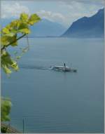 Lac L�man  15.06.2011