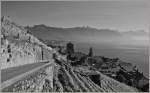 S/W Aufnahme vom Lavaux aus, mit Blick auf St-Saphorin, den Rochers-de-Naye und die Riviera des Genfersee's.