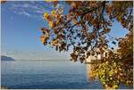 Herbst am Genfersee
(16.11.2022)