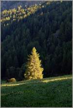 Im Scheinwerferlicht!  (13.09.2011)