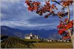 Das Château d'Aigle umgeben von Weinbergen.
