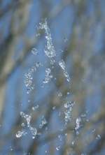 Wassertropfen   (16.04.2010)