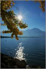 Ein goldener Herbststag am Genfersee.
