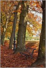 Am 12.November liess sich der Herbst noch einmal gemütlich in Lucca nieder und verweilte noch ein wenig.