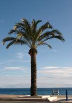 Paradiesischer Ausblick  (20.04.2009)