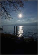Wintersonne über dem Genfersee  (10.12.2015