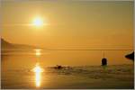 Abendstimmung am Genfersee am 27.02.2012