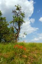   Eine Impression.....