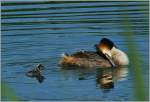 Muttergl�ck  (02.07.2013)  