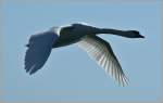 Flug in den Fr�hling.