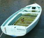 Herr Enterich beim Aufw�rmtraining...