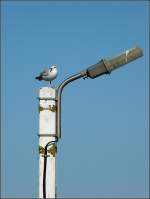 Nicht die Bahnpolizei, sondern die Hafenpolizei in Oostende.