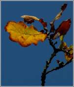 Herbst.