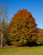 Herbstzeit im Siegerland...