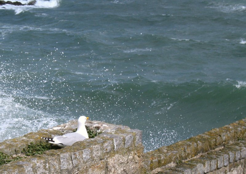 Wer spritzt denn da?
(April 2008)